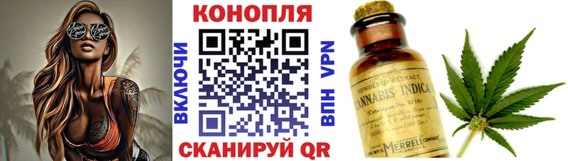 Шишки марихуана планчик Холмск